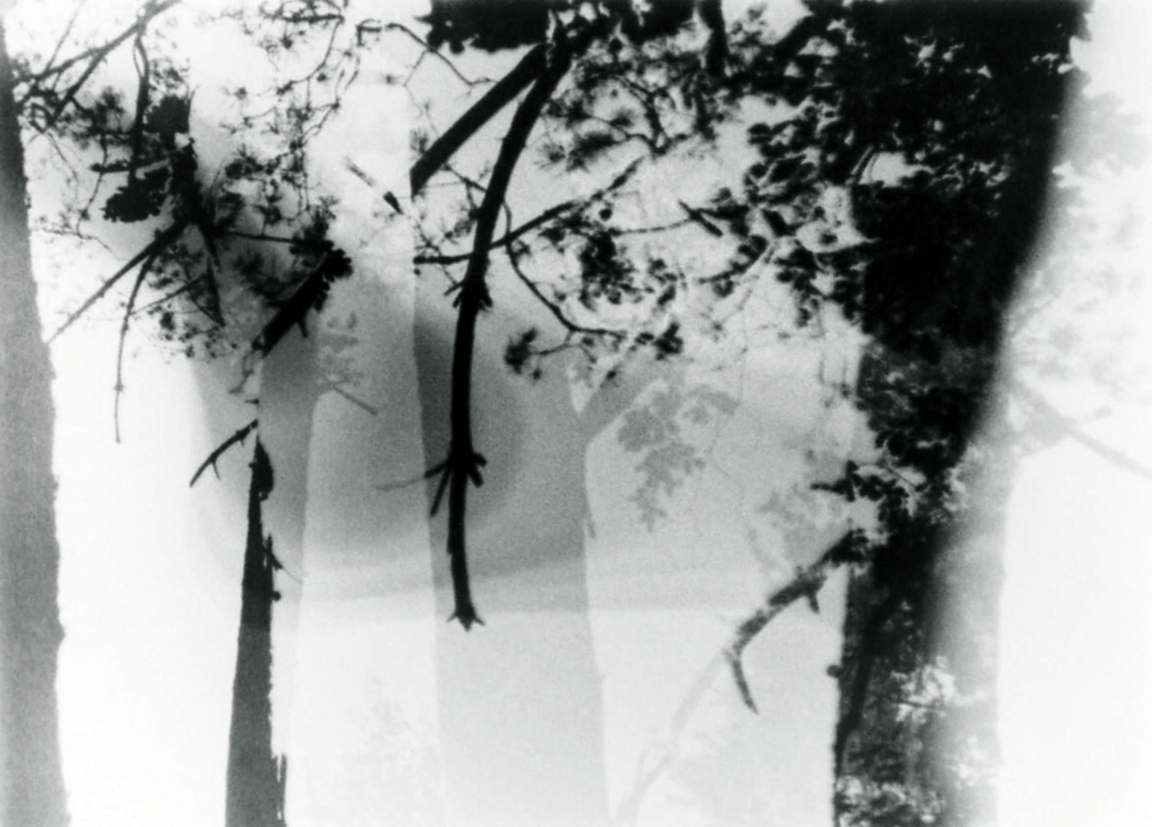 Photogramme 16mm montrant une surimpression de deux plans filmés