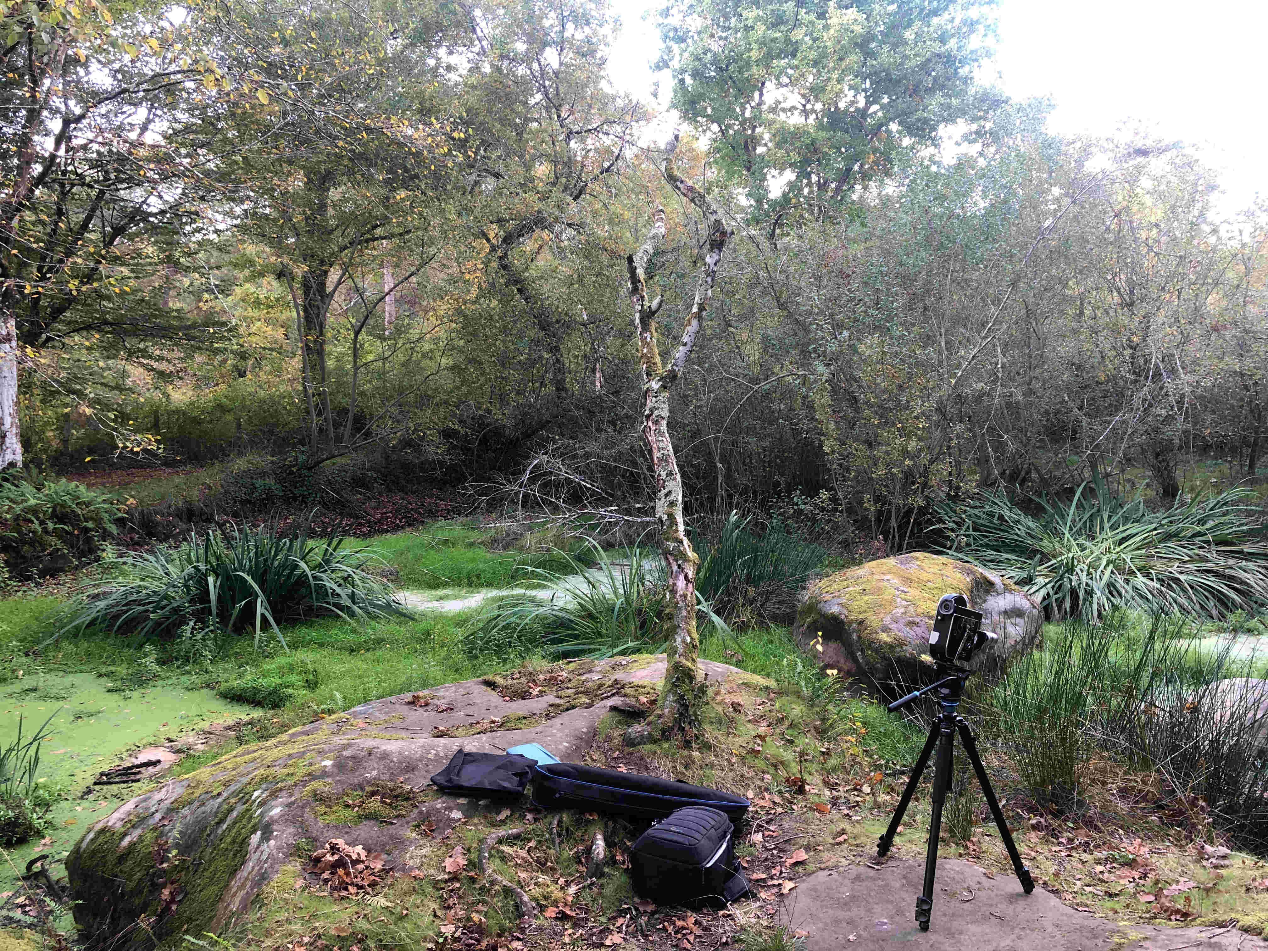 Tournage en extérieur avec la caméra Bolex H16, en forêt