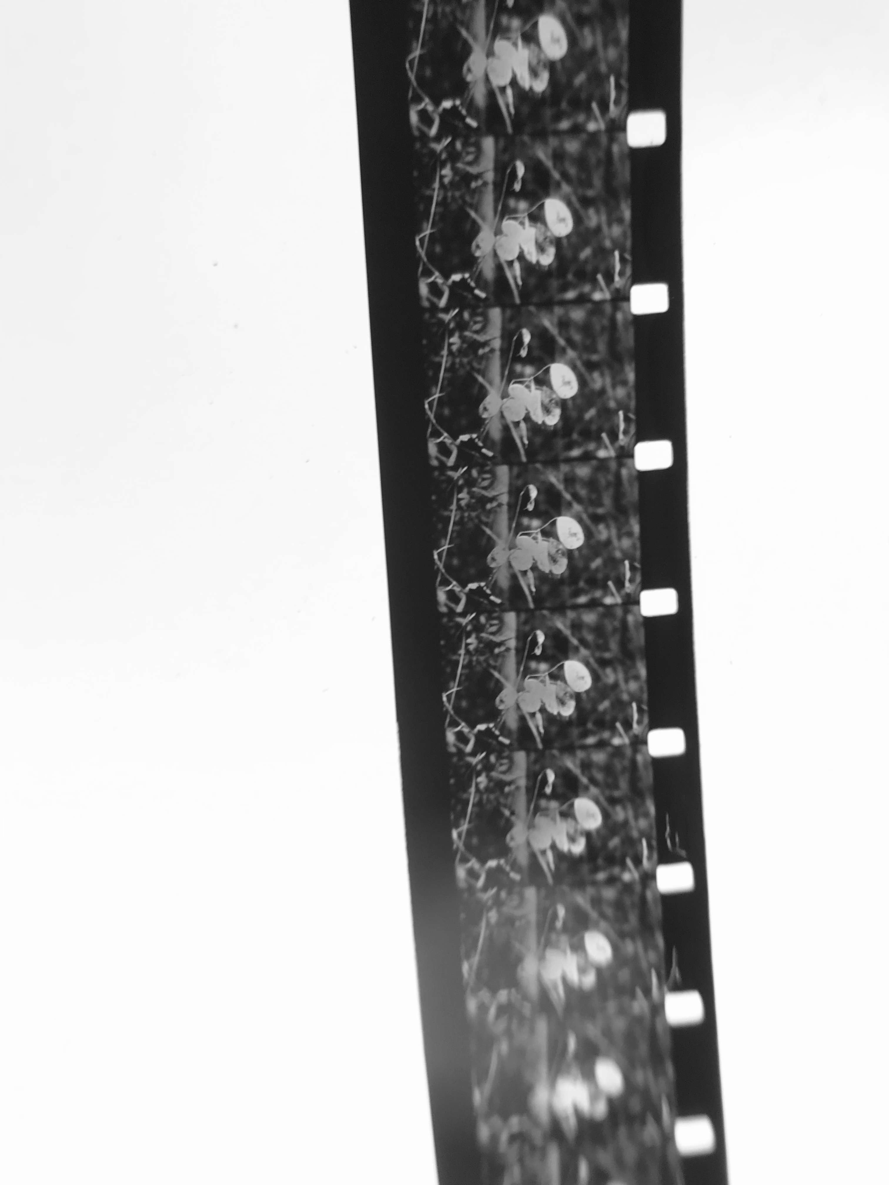 Gros plan sur une bobine de pellicule 16mm développée